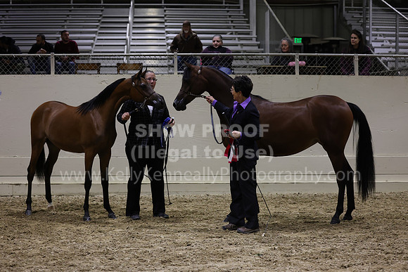 AHANC23_Wed_3031