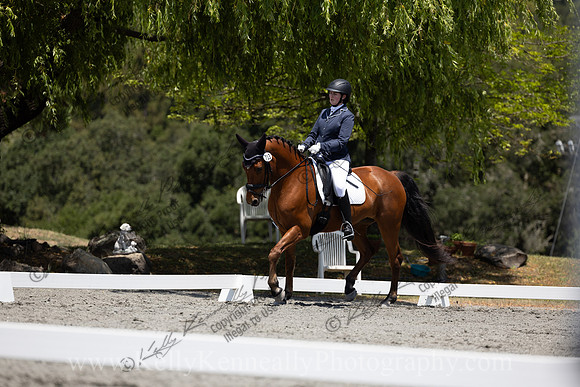 FFDressage23-00185