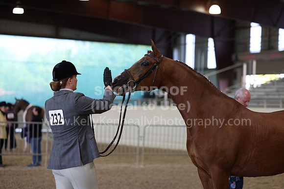 AHANC23_Wed_2804