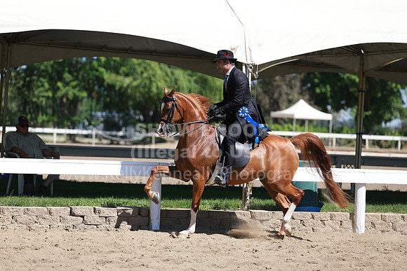DAHA23_Fri_0573