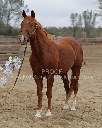 DocFall26_6104