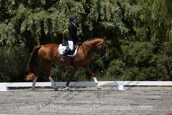 FFDressage23-4108