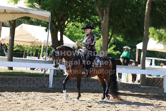 DAHA23_Sun_8284