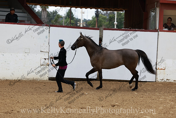 R2CH23_Thurs_0729