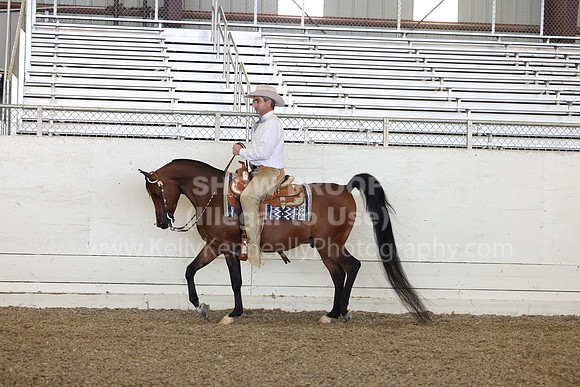 AHANC23_Thurs_2015
