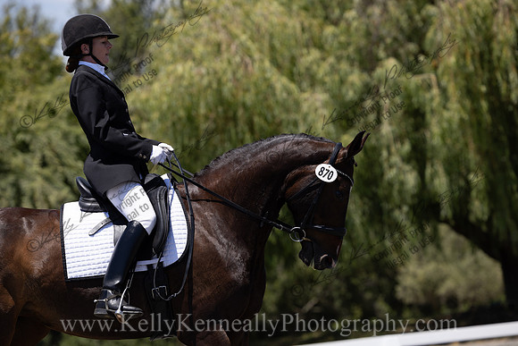 FFDressage23-00254