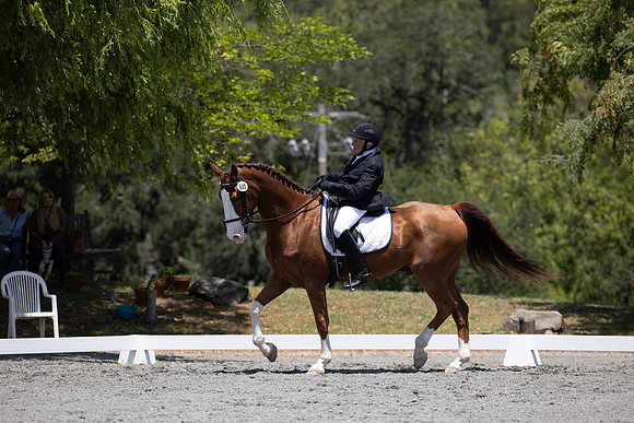 FFDressage23-00192
