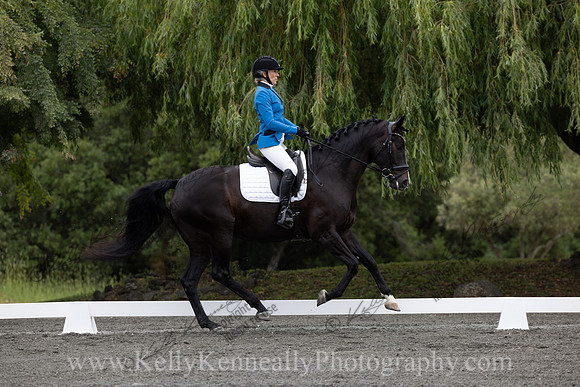 FFDressage23-00069