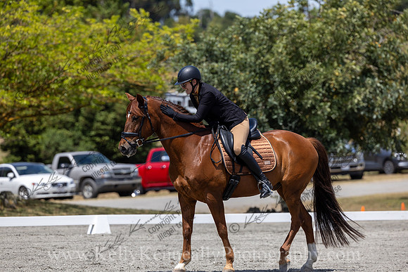 FFDressage23-4956