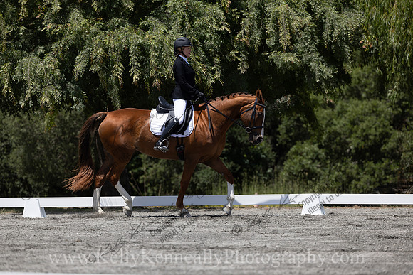 FFDressage23-4106