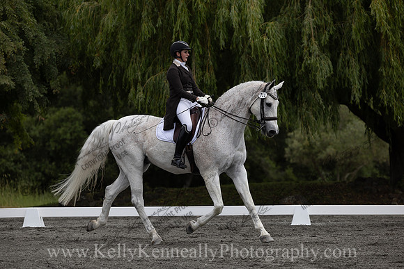 FFDressage23-00114