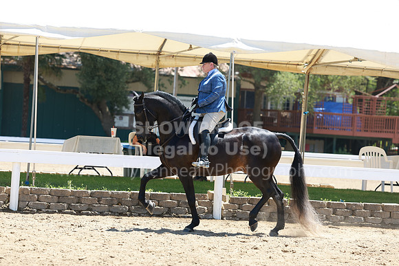 DAHA23_Sun_9580