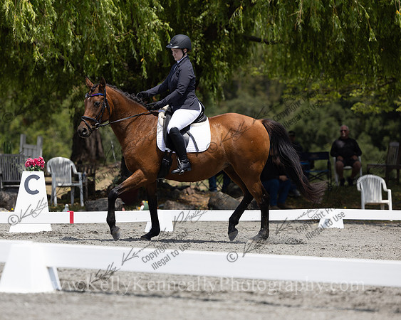 FFDressage23-00155