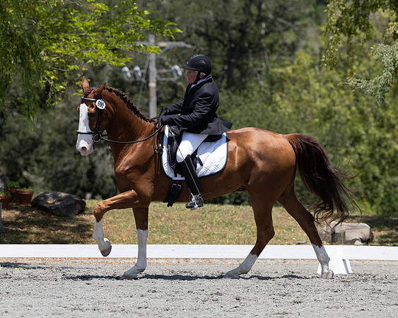 FFDressage23-00199