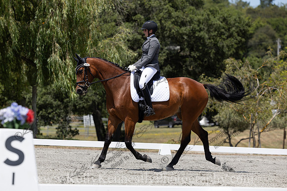 FFDressage23-4161