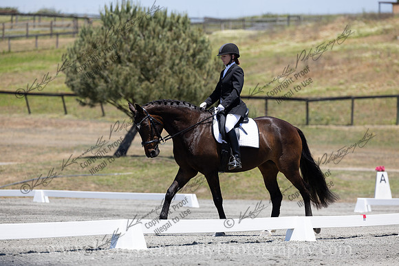 FFDressage23-00260