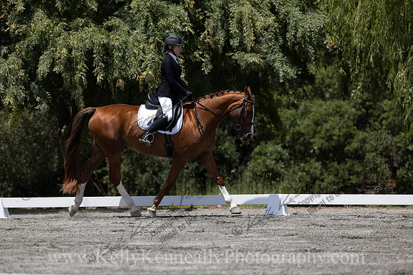 FFDressage23-4109
