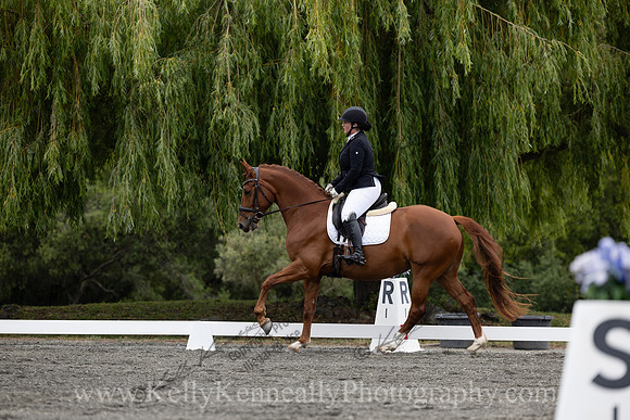 FFDressage23-1405