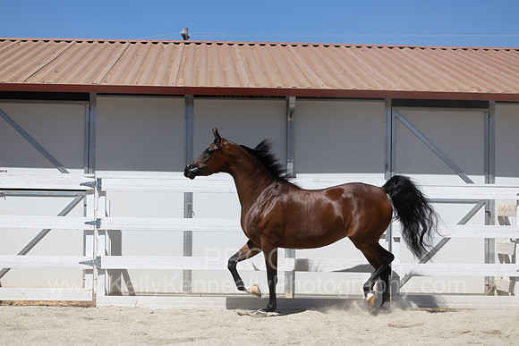 BeckersExtravaganza24_Sat1_6340