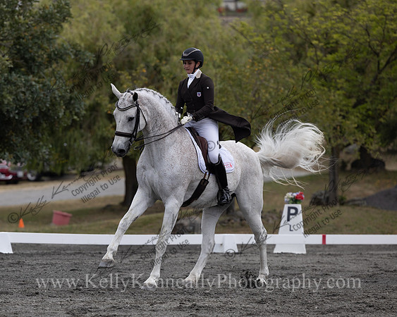 FFDressage23-00109