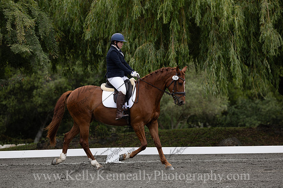FFDressage23-00076