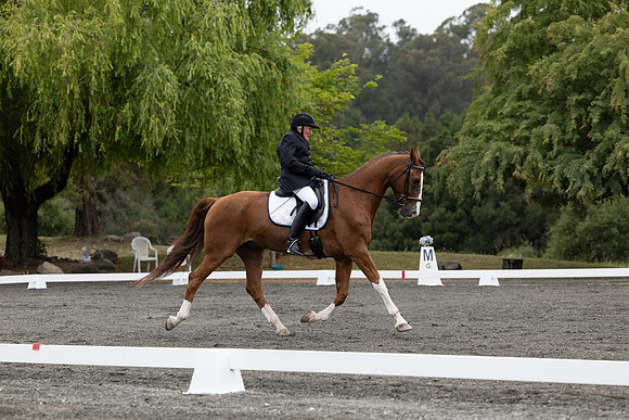 FFDressage23-00089