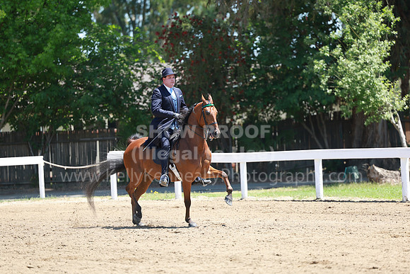 DAHA23_Fri_1152