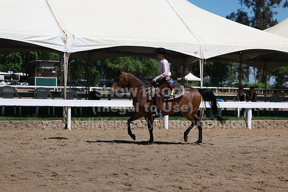 DAHA23_Sat_4399
