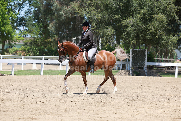 DAHA23_Sun_9526