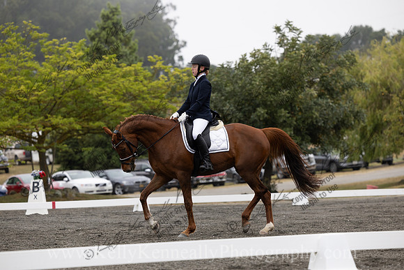 FFDressage23-0722