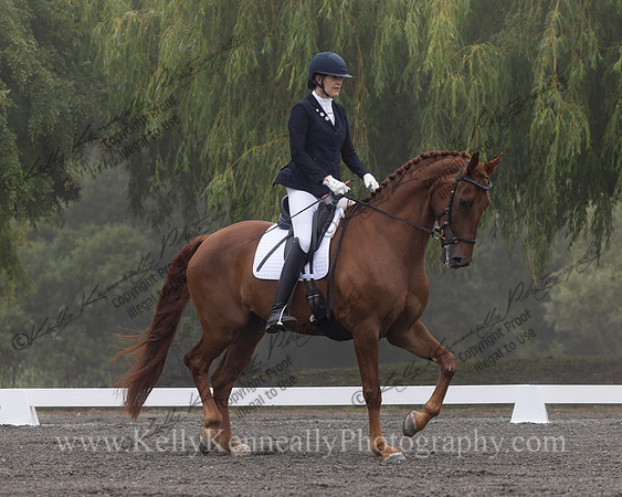 FFDressage23-0090