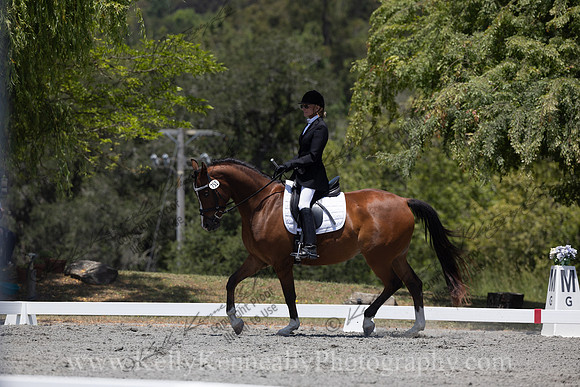 FFDressage23-00223