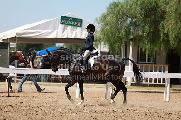 DAHA23_Fri_0978