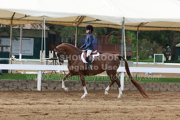 DAHA23_Sun_7739