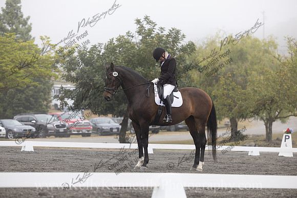FFDressage23-0461