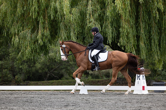 FFDressage23-1819