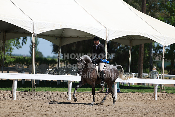 DAHA23_Fri_0902