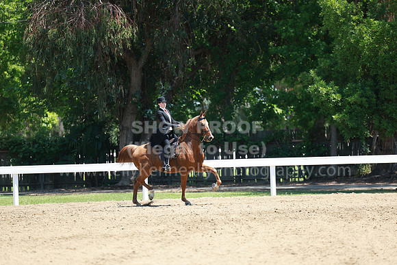 DAHA23_Fri_1088