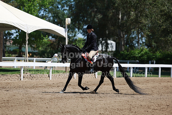 DAHA23_Sun_8952
