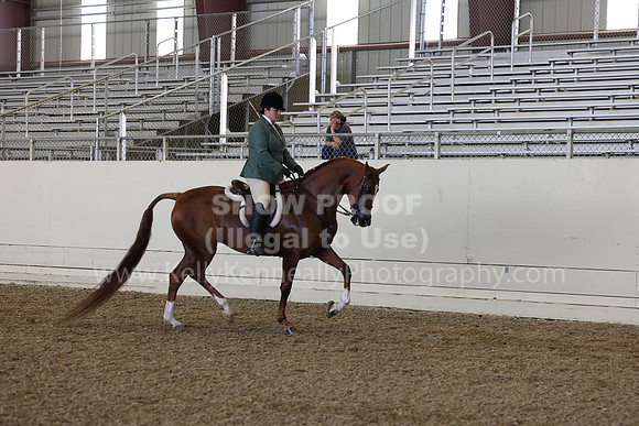 AHANC23_Thurs_2532