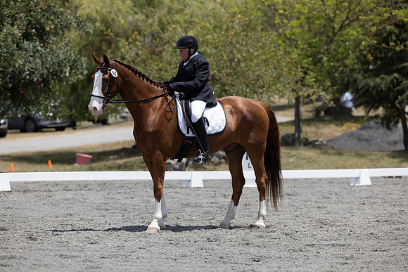 FFDressage23-3048