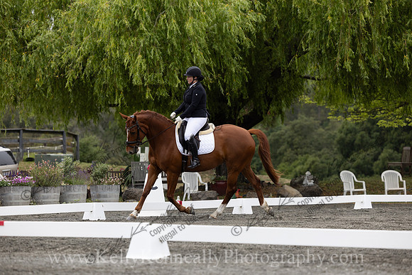 FFDressage23-1269