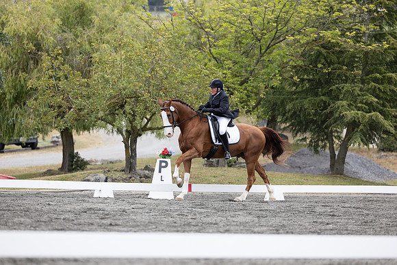 FFDressage23-1775