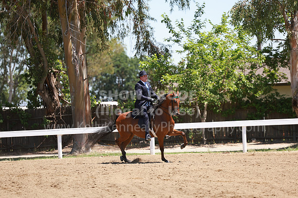 DAHA23_Fri_1127