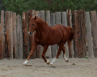 DocFall26_4985