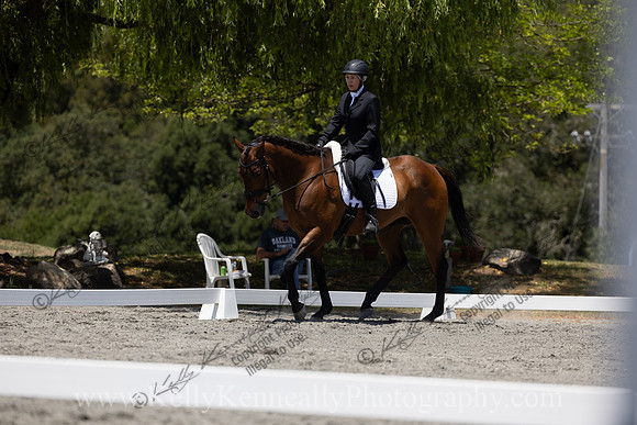FFDressage23-3593