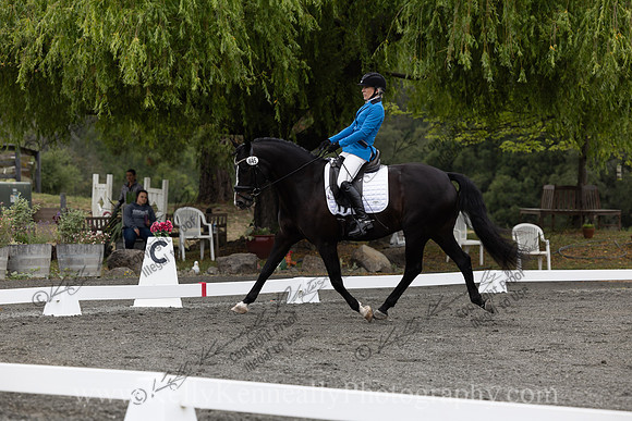 FFDressage23-00051