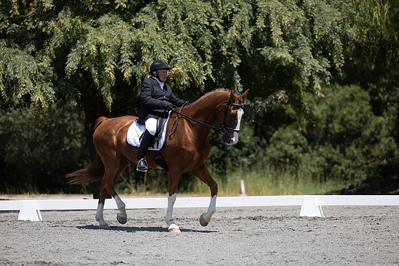 FFDressage23-00189