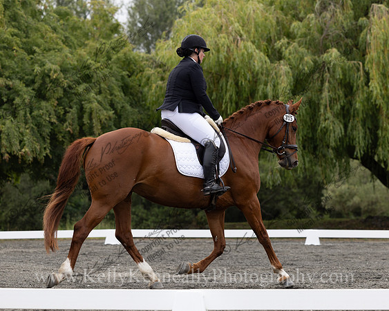 FFDressage23-1291
