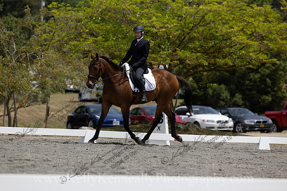FFDressage23-2556